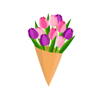 Colorful pink tulips bouquet on isolated white background. Beautiful bunch of spring flowers with long leaves inside bouquet. Vector illustration flat style