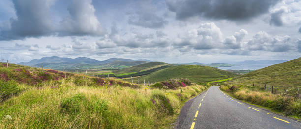 Road leading trough beautiful valley with green fields and farms, Dingle Peninsula stock photo