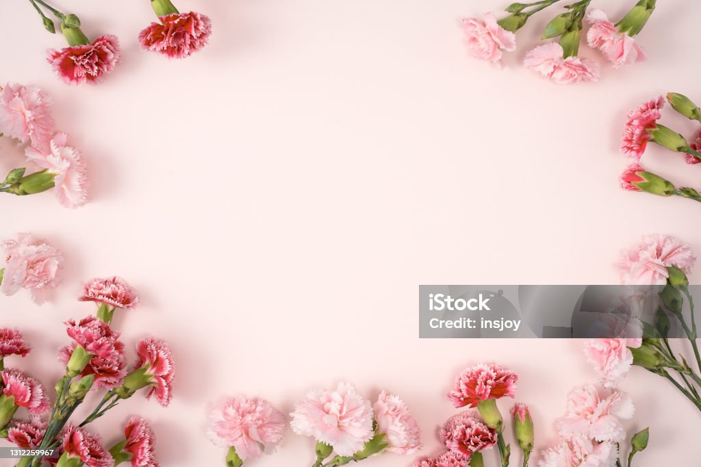 Design concept of Mother's day holiday greeting with carnation bouquet on pink table background Design concept of Mother's day holiday greeting design with carnation bouquet on pastel pink table background Mother's Day Stock Photo