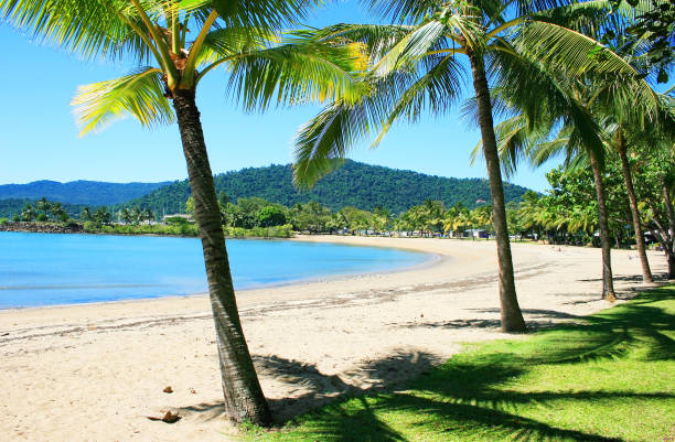 Rex Smeal Park in Port Douglas, palm trees and beach