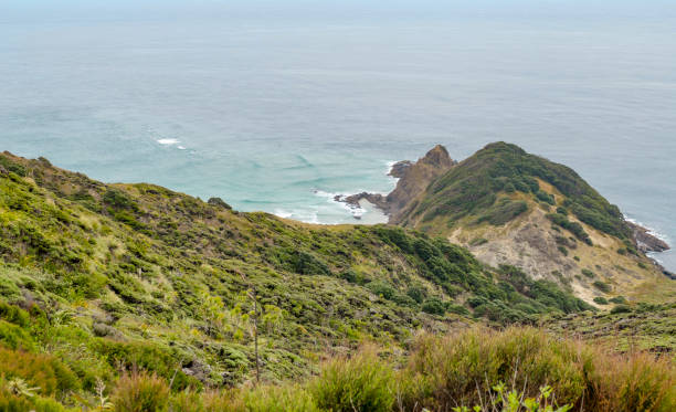 istock Cape Reinga in New Zealand 1312265576