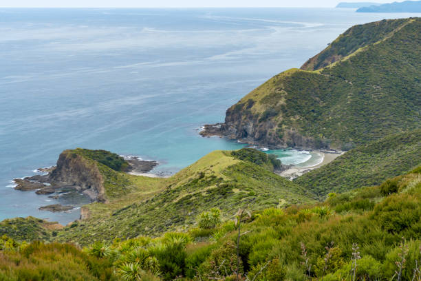 istock Cape Reinga in New Zealand 1312265591