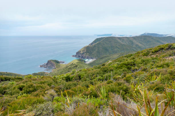 istock Cape Reinga in New Zealand 1312265631