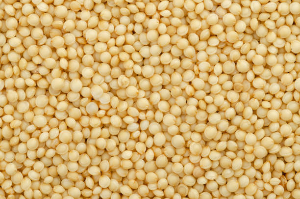 Amaranth grain, close-up. Amaranthus seeds, a gluten free pseudocereal similar to quinoa, staple food and a source of protein of the Aztecs. Surface and background from above, macro food photo.