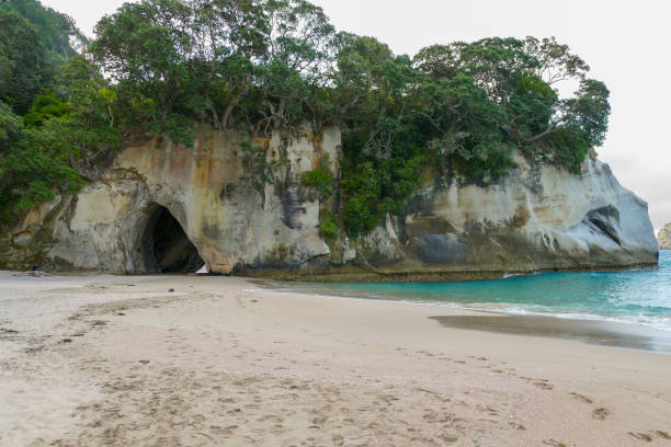 istock Cathedral Cove in New Zealand 1312266576