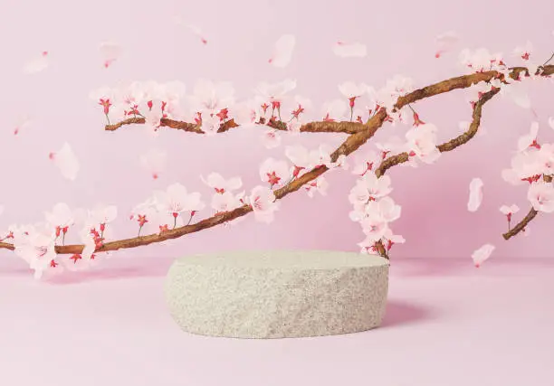 Photo of rock for product presentation with branch full of cherry blossoms