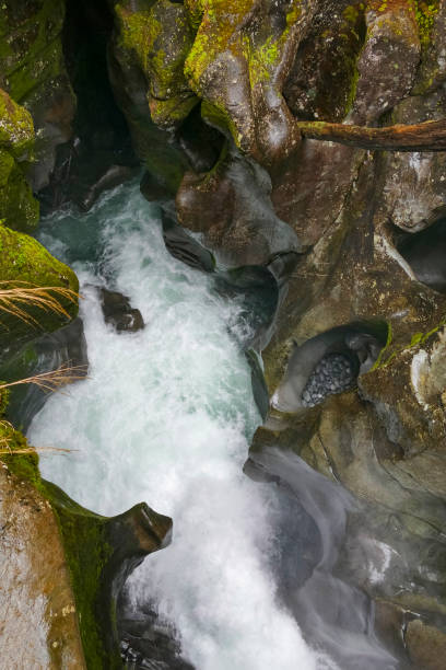 istock Cleddau River in New Zealand 1312266853