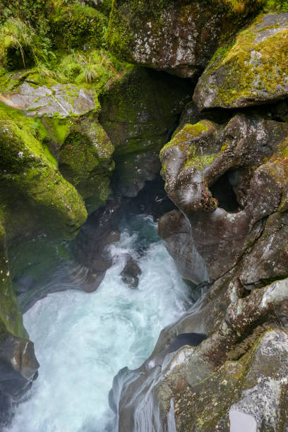istock Cleddau River in New Zealand 1312266864