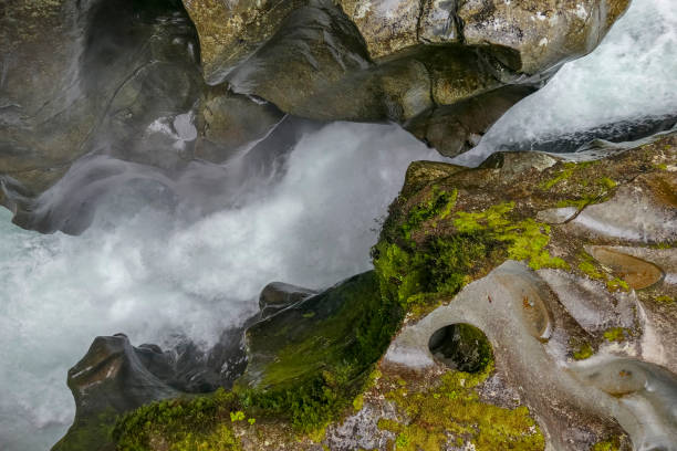 istock Cleddau River in New Zealand 1312266875