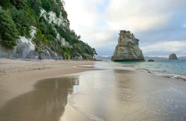 istock Te Hoho Rock at Cathedral Cove 1312267284