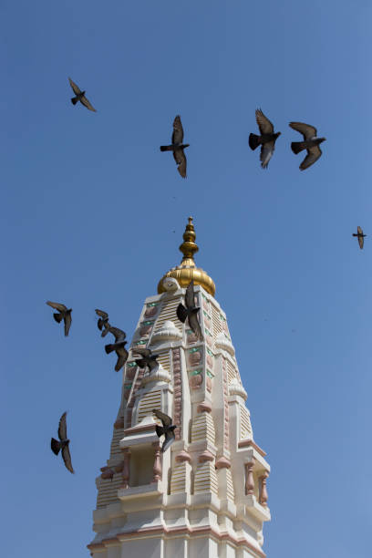 istock Galtaji temple, Jaipur. India 1312269279