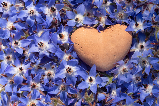 Close up of a clay heart lying on a bed of blue borage flowers