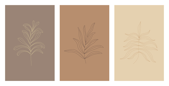 Set of three botanical drawings in warm beige and brown colors. Wall art botanical poster. Abstract plant design for print, cover, flyer, card, brochure. Trendy vector illustration in minimal style