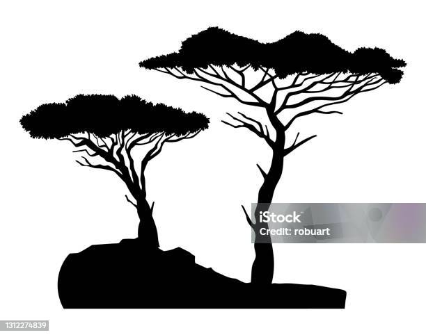 Cây Baobab và cây Biểu Tượng Raster Đơn là hai trong số những loài cây đẹp và lạ mắt nhất trên thế giới. Bức tranh này thể hiện chân thực vẻ đẹp của những cây này qua những đường nét tinh tế, màu sắc phong phú và sự tinh tế tỉ mỉ trong cách vẽ.