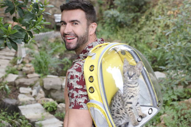 istock Man carrying cat in transparent backpack 1312275156