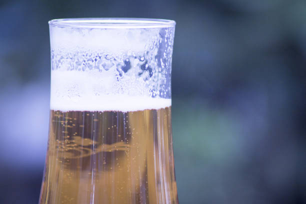 istock Glass goblet with lager beer. No people. Copy space 1312276285