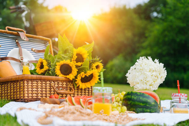 conceito de piquenique de verão em dia ensolarado com melancia, frutas, buquê de hortênsia e flores de girassóis. cesta de piquenique na grama com comida e bebida de verão refrescante em cobertor de malha branco. foco seletivo - piquenique - fotografias e filmes do acervo