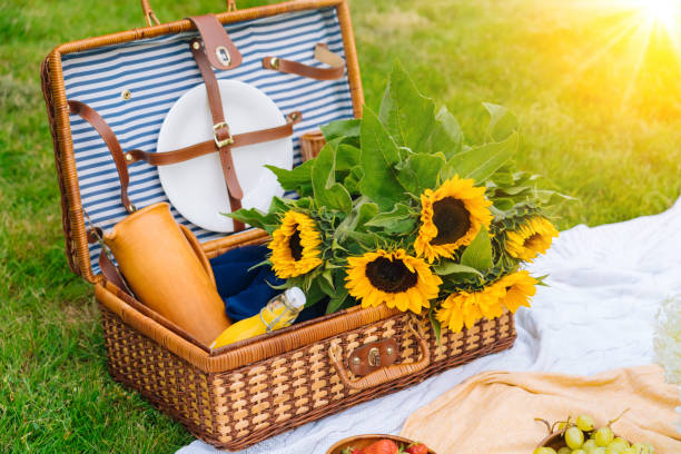 istock Summer picnic concept on sunny day with watermelon, fruit, bouquet hydrangea and sunflowers flowers. Picnic basket on grass with food and refreshing summer drink on white knit blanket. Selective focus 1312277739