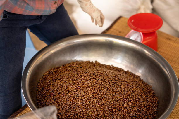 istock Agriculturist Scoop the roasted coffee beans into a plastic bag. 1312278580