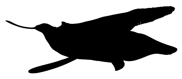 Computer generated 2D illustration with the silhouette of a humpback whale