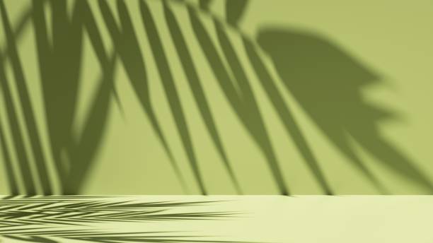 istock 3d render, simple abstract green background illuminated with bright sunlight, with palm leaf shadow. Modern minimal showcase scene for product presentation 1312281222