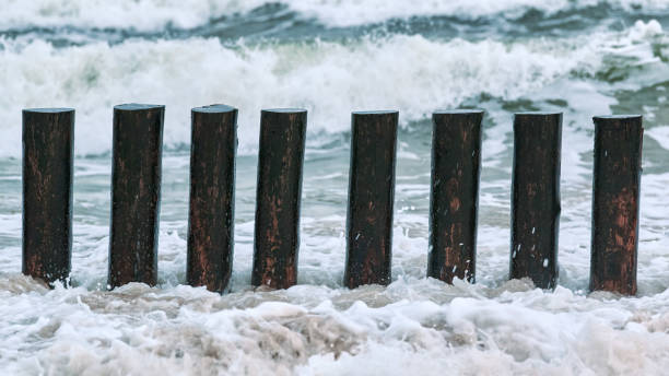 istock High wooden breakwaters in foaming sea waves 1312282966