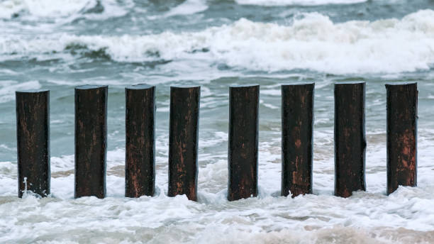 istock High wooden breakwaters in foaming sea waves 1312283099