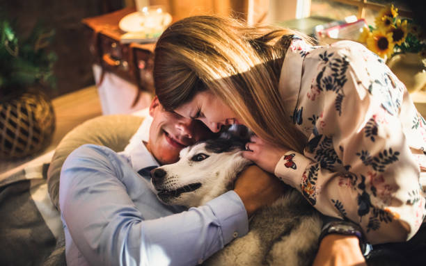 istock a young couple spends time at home with dogs 1312284508