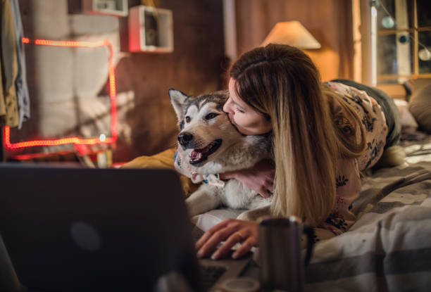 istock a young couple spends time at home with dogs 1312284665