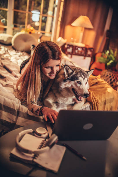 istock a young couple spends time at home with dogs 1312284751