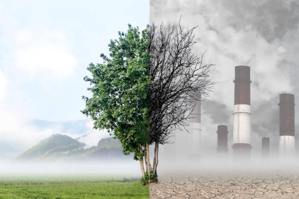 árbol sobre el fondo de la naturaleza y la planta industrial. - contaminación del aire fotografías e imágenes de stock