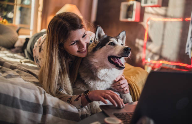 istock a young couple spends time at home with dogs 1312284868