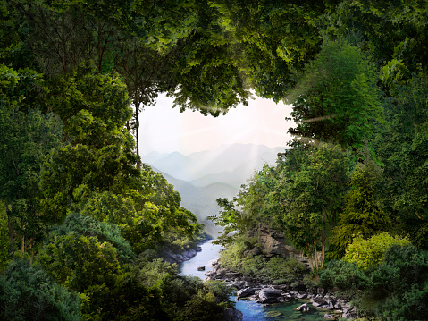 A heart-shaped hole in the dense tree crown. The current river to the cliff. The sun shines on the mountains. The concept of love for nature and passion for travel.