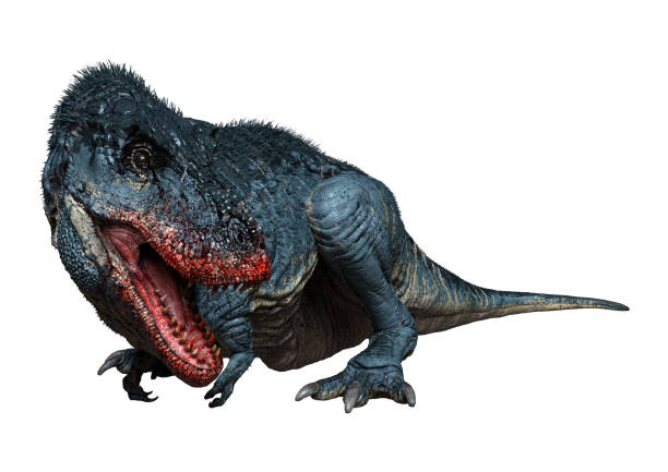 istock 3D illustration Tyrannosaurus Rex on white 1312285611