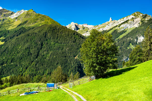 istock Alpine view in Wengen, Switzerland 1312286314