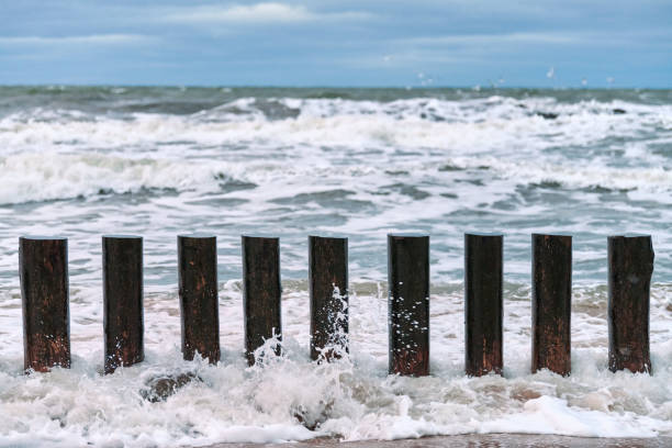 istock High wooden breakwaters in foaming sea waves and cloudy sky 1312296930