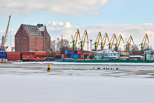 Massive harbor cranes in seaport. Heavy load dockside cranes in port, cargo container yard, container ship terminal. Business and commerce, logistics. Winter industrial scene.