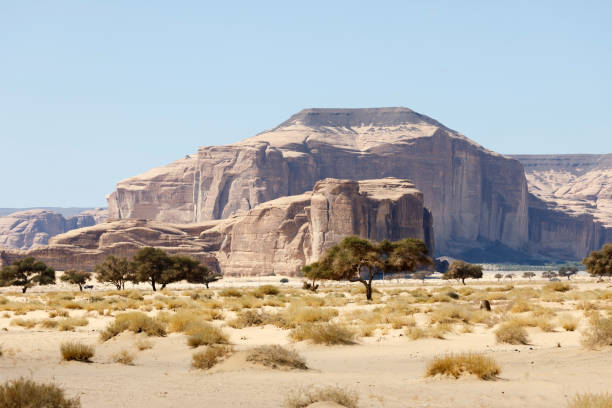 Typical landscape with eroded mountains in the desert oasis of Al Ula in Saudi Arabia Typical landscape with eroded mountains in the desert oasis of Al Ula in Saudi Arabia madain saleh photos stock pictures, royalty-free photos & images