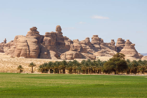 Landscape near Al Ula, Saudi Arabia with date palms stock photo