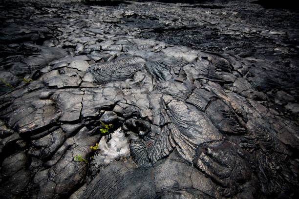 istock black dry lava magma detail 1312298026