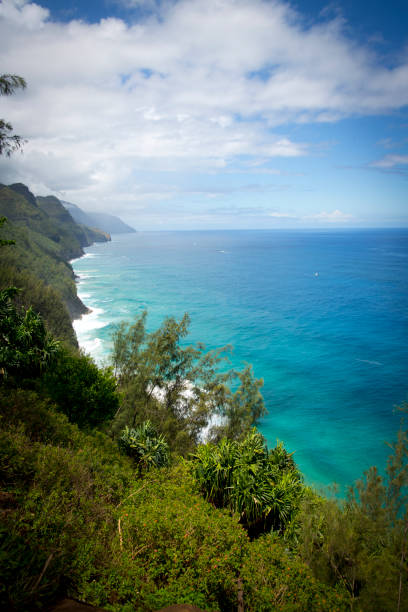 istock view of the turquoise coastline from the hill 1312298048