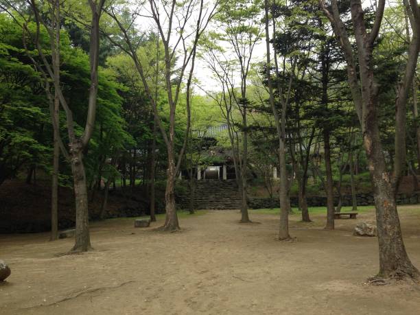 istock beautiful park in south korea with rivers 1312298693