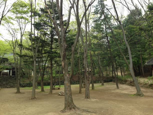 istock beautiful park in south korea with rivers 1312298697