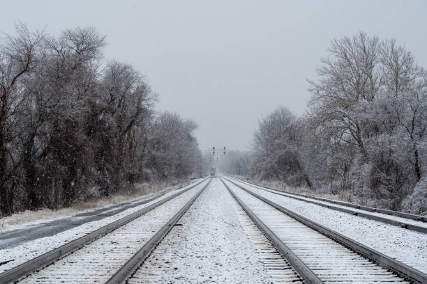 istock Train Disappearing Down the Railroad Tracks 1312298817