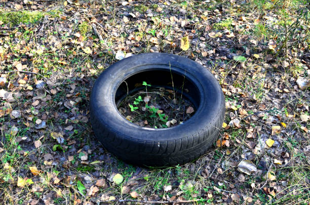 tire from a car is thrown into the forest. people pollute the environment harming nature - harming imagens e fotografias de stock