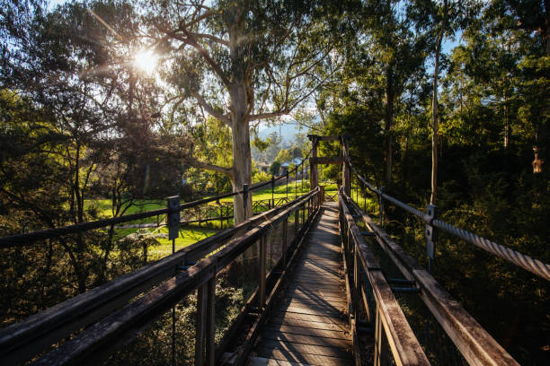 istock Yarra River View in Warburton Australia 1312302570