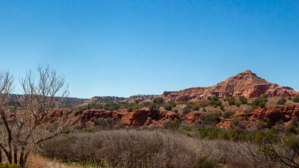 istock Palo Duro Canyon Scenery 1312302823