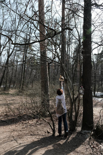istock Mature woman is using smart phone for direction while walking in sunny forest 1312303618