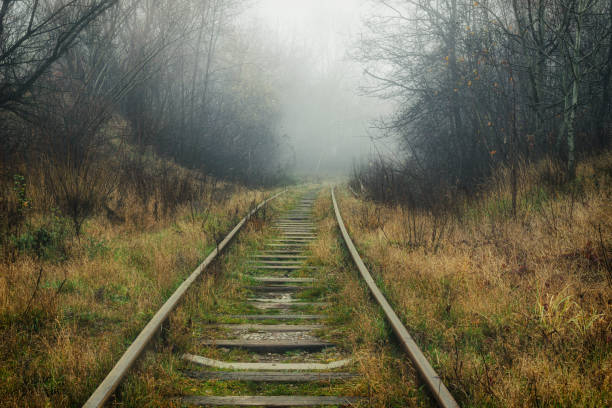 istock Railroad track in the fog 1312307944