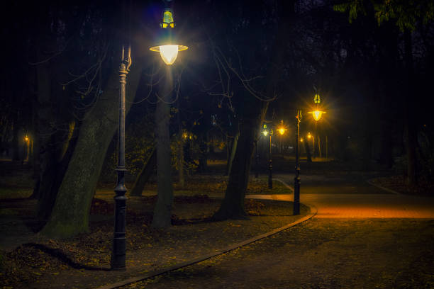 Beautiful city park at night.